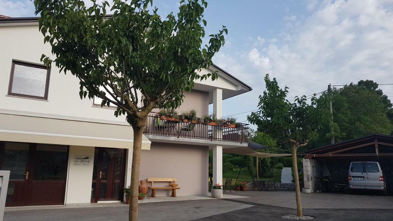 Guesthouse Pri Mihelovih Sezana Luaran gambar