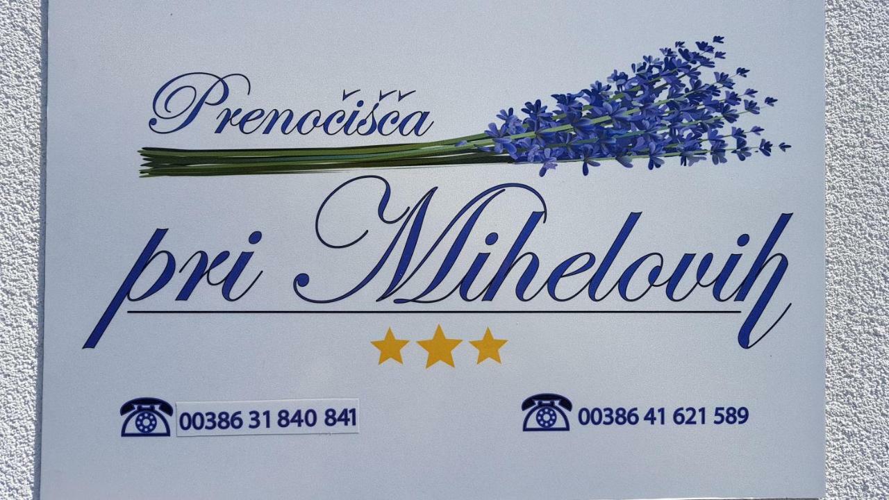 Guesthouse Pri Mihelovih Sezana Luaran gambar